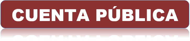 CUENTA PÚBLICA