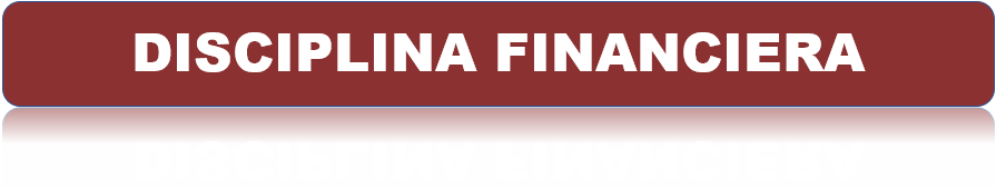DISCIPLINA FINANCIERA