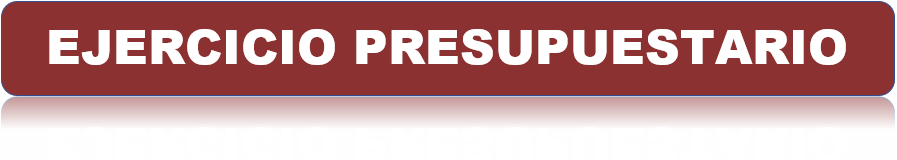EJERCICIO PRESUPUESTARIO