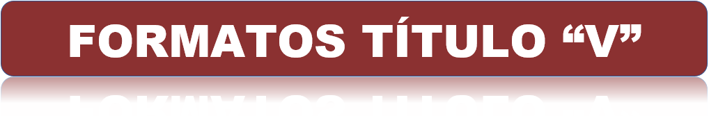 FORMATOS TITULO V