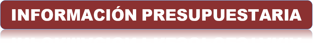 INFORMACION PRESUPUESTARIA