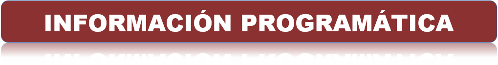 INFORMACION PROGRAMÁTICA